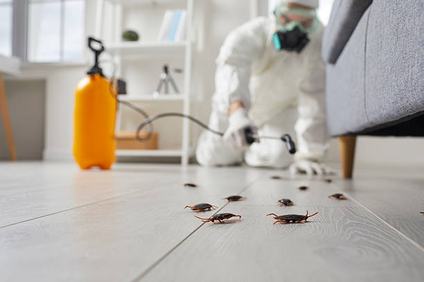 Commercial Kitchen Cockroach Control in River Forest